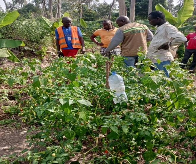 RECRUTEMENT D’UN PRESTATAIRE D’EXECUTION 